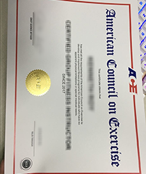 Master Your Domain: The Value of an ACE Certificate in Professional Development