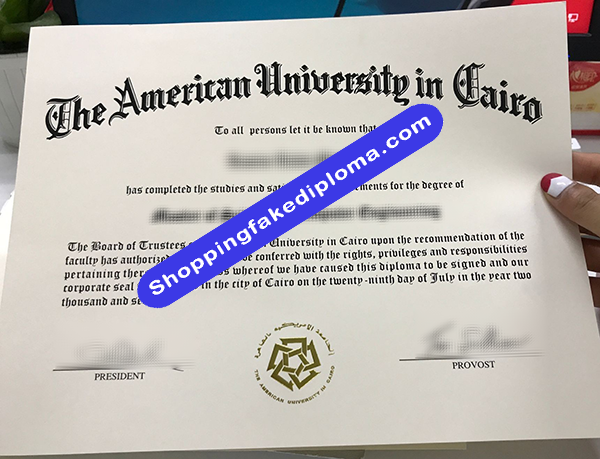 fake American University in Cairo Degree, buy fake American University in Cairo Degree