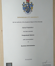 Innovation and Industry-Relevance: The Significance of a Fake BCU Diploma