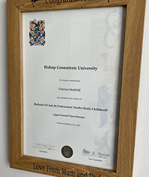 Empowering Minds, Transforming Lives: The Impact of a Fake BGU Degree
