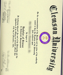 Clemson University brief introduction
