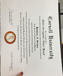 Cornell University brief introduction