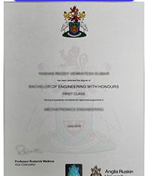 Proudly Achieving Success: Your Fake Anglia Ruskin University Degree