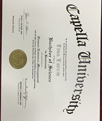 Capella University brief introduction