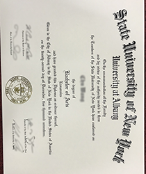 How many employers actually verify diplomas?