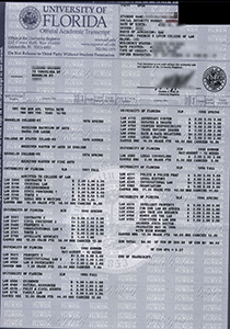 fake University of Florida Transcript, buy fake University of Florida Transcript