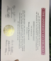 University of Chicago brief introduction