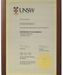 Setting the Stage for Success: The Impact of a UNSW Diploma on Professional Trajectories