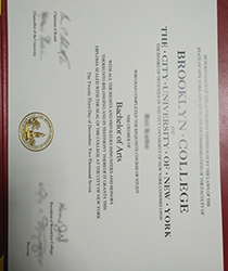 Brooklyn College City University Of New York Byief Introduction