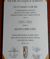Can I use a fake diploma for a job?