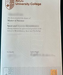 Building a Strong Foundation: The Impact of an AECC University College Degree