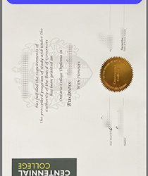 Centennial Excellence: Unveiling the Significance of a College Diploma