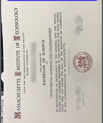 Innovation Redefined: Nurturing Success at MIT