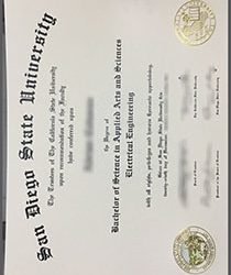 Navigating Success: The Impact of a San Diego State University Degree
