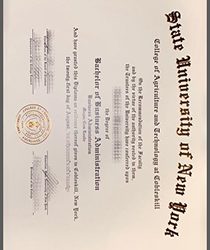 New York State Prestige: The Significance of a SUNY Degree