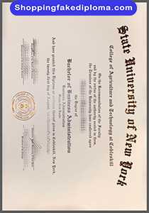 State University of New York degree, fake State University of New York degree