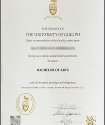 Beyond Borders: Navigating Success with a University of Guelph Degree
