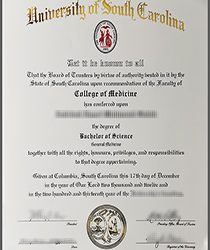 Gamecocks of Success: Navigating Careers with a University of South Carolina Degree