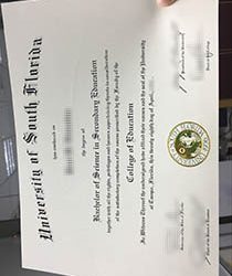 University of South Florida fake Degree