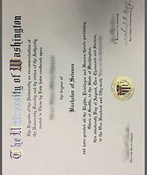 University of Washington fake Degree