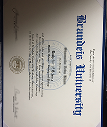 Brandeis University brief introduction