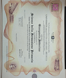 Buy Fake Diplomas Online: Everything You Need to Know