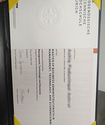 Expertly Crafted Replacement Diplomas: Indistinguishable from the Original