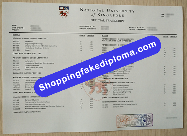NUS transcript, Buy Fake NUS transcript