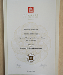 Temasek Polytechnic Diploma: Empowering Students for Industry Success