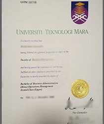Beyond Borders: Global Opportunities with a UTM Degree