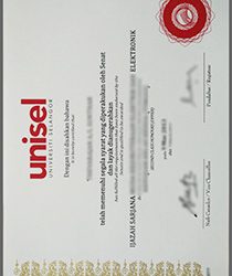 University selangor fake Degree