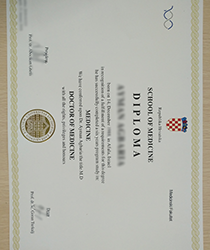 How to get a fake college diploma