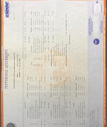 Pepperdine University Fake Transcript: What It Is, Why It Matters, and How to Obtain It