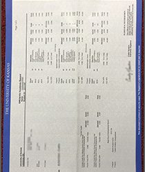 University of Kansas fake Transcript