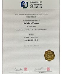 What kind of fake degree from City University of Hong Kong is correct?
