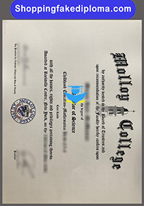 Molloy College fake degree, fake degree certificate