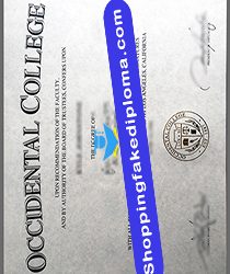 How to Get a Copy of My College Diploma