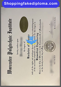 fake Worcester Polytechnic Institute degree, fake US university diploma