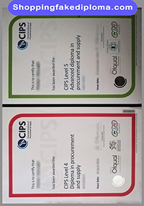 CIPS certificate , fake CIPS certificate