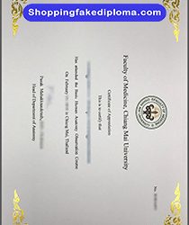 Pinnacle of Medical Education: Exploring the Faculty of Medicine, Chiang Mai University Certificate