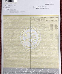 Purdue University fake Transcript
