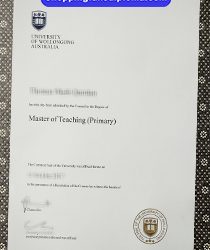 Southern Hemisphere Success: Unraveling the Prestige of a University of Wollongong Australia Degree