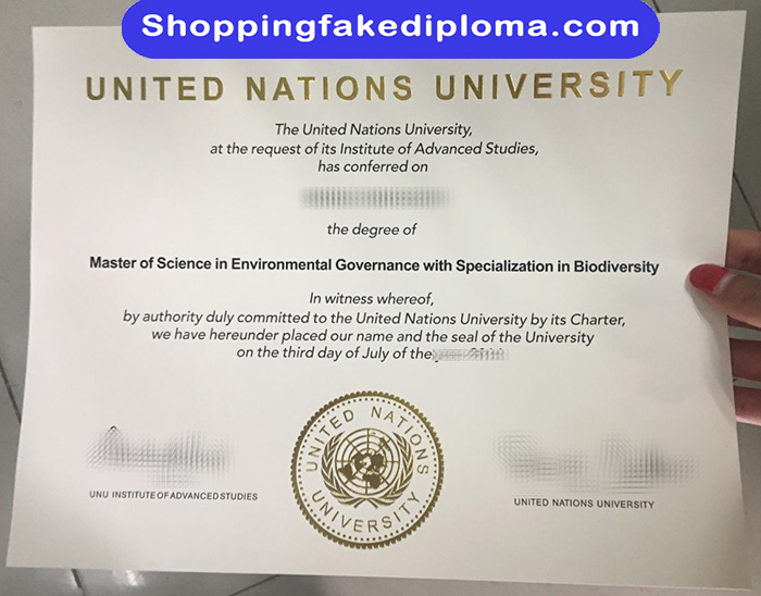 United Nations University fake Degree, United Nations University certificate