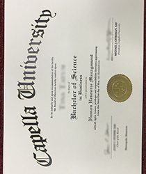 Capella University fake degree