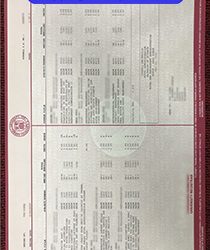 Reflecting Excellence: Unveiling the Academic Journey through the Cornell University Transcript