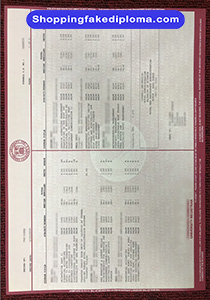 Cornell University transcript, fake Cornell University transcript