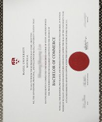 Accelerate Your Success: Propel Your Career with a McGill University Degree