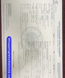Middle Tennessee State University fake Transcript