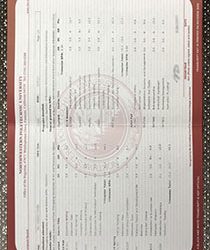 Northwestern Polytechnic University fake Transcript