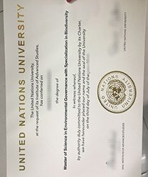 United Nations University fake Degree